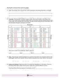 Student exploration rna and protein synthesis answer key activity b. Rna Protein Synthesisse