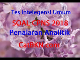 Berikut contoh soal cpns tiu penalaran logis. Contoh Soal Cpns 2018 Soal Tiu Cpns Penalaran Analitik Dan Jawabannya Pdf Icpns