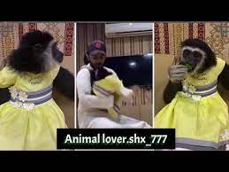 أهداء الى زيتونه لا تهاوشين animals