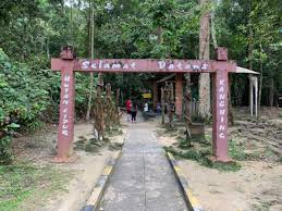 Air terjun kanching terletak antara selayang dan rawang juga berhampiran dengan kawasan perkelahan terkenal templer park. Kanching Waterfall Hike Pokok Kelapa