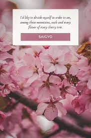 Quotes about cherry tree blossom. Cherry Blossom Quotes About Life And Renewal In 2021 Cherry Blossom Quotes Blossom Quotes Flower Quotes