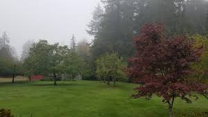 Only 7 minutes to the kingston ferry dock, downtown poulsbo, schools, shopping, and… Farm Kitchen Guest House Prices Lodge Reviews Poulsbo Wa Tripadvisor