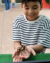 🌙🐺 ¿Sabías que los lobos aúllan para mantenerse en comunicación? 🔊✨  Cuando los lobos recorren grandes distancias, su aullido es la mejor manera  de ubicarse, alertar a la manada y reforzar sus