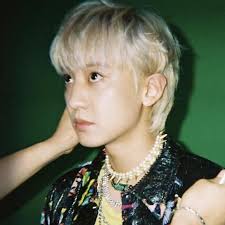 Fanfics / fanfictions chanyeol long hair de todos os tipos. Many Shades Of Exo Chanyeol S Hair Colors Throughout The Years Starbiz Net