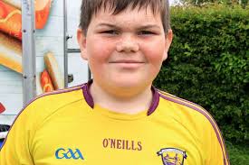 Field day in Castledockrell sets the tone of summer