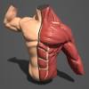 I'll teach you all the anatomy you need to draw the forms accurately and make them look like real no need to download any software. Https Encrypted Tbn0 Gstatic Com Images Q Tbn And9gct56esphlell Utnnnw094f0a0wze0aciosobizcrnnwgd3pg0a Usqp Cau