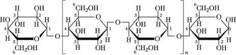 • carbohydrates are chemical compounds that consist of carbons. Cellulose Lexikon Der Chemie