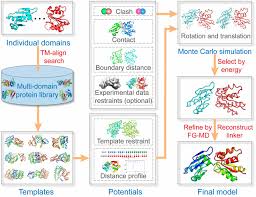 Assembling Multidomain Protein Structures Through Analogous Global Structural Alignments Pnas
