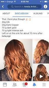 Pin By Natalia Prager On Demi Aveda Hair Color Hair Color Formulas Aveda Hair