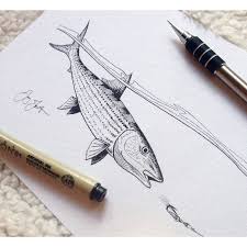 Bonefish Chasing Fly Drawing Fly Drawing Drawings Art