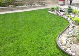 Every trugreen lawn care plan provides lawn care services and lawn care tips that will help your lawn thrive. Columbia Lawn Care Lawn Maintenance Liberty Township Oh