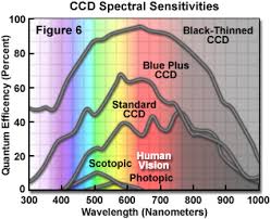 It produces multiplication gain through the. Digital Imaging In Optical Microscopy Olympus Ls