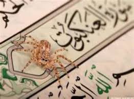 Do people think that they will be left alone because they say: What I Learned From Surah Al Ankabut Slave Of Al Wadud