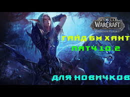 Гайд по Охотнику «Стрельба» (боец дальнего боя) в WoW Battle for Azeroth