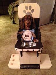 Canine Megaesophagus Canine Mega Esophagus Bailey Chair For Dogs Bailey Chairs Dog Chair