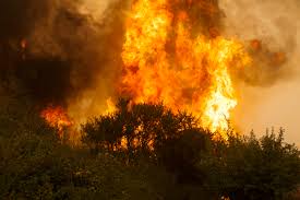 Estos incendios no son muy frecuentes pero son el problema real, ya que calcinan enormes superficies en pocas horas o días. Incendios Forestales En Chile Una Gobernanza Incompleta El Mostrador