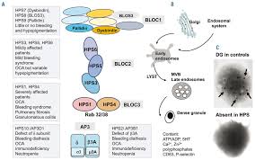 Image result for Platelet Dysfunction