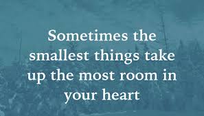 Winnie the pooh — 'sometimes, the smallest things take up the most room in your heart'. Quote Sometimes The Smallest Things Take Up The Most Room In Your Heart Poster Apagraph