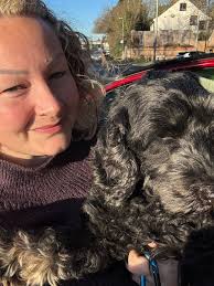 Friend has found a dog in Cornard near Poplar Road. Called the number