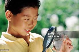 160 Bock Checking Stock Photos, High-Res Pictures, and Images