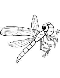 The dragonfly has unique vision due to the structure of the eyes. Big Dragonfly Coloring Page Cartoon