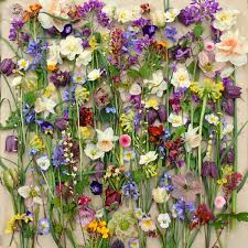 Flowers in season in april for wedding. Hellebores Archives The Natural Wedding Company The Natural Wedding Company