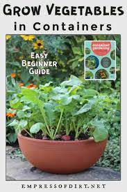 How To Grow Vegetables In Containers From Spring To Fall Container Gardening Vegetables Growing Vegetables Container Gardening