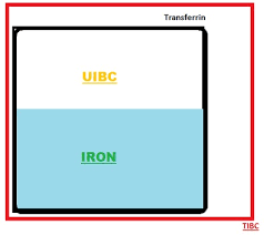 Iron Blood Test And Normal Iron Levels Chart By Age Blood