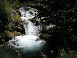 Trusted by millions of students, faculty, and professionals worldwide. Elixirul VieÅ£ii Curge Din MunÅ£ii Rodnei Apa De Aur Captata La Maieru Vanduta In Strainatate