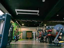 Everfit Gym & Spa in Zirakpur HO,Chandigarh - Best Gyms in Chandigarh -  Justdial