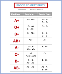 Pin On Reference Guides