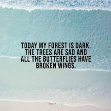 112 Best Broken Heart Quotes And Heartbroken Sayings Funzumo