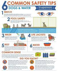 In general, dogs should drink approximately 1 ounce of water (1/8 of a cup) per pound of body weight each day. How Much Water Should A Dog Drink Keeping Your Dog Hydrated