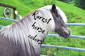 These included mustangs, morgans and standardbreds. What Are The 10 Rarest Horse Colors In The World