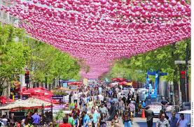 Your toddler can even help cook! 10 Fun Things To Do In Montreal Canada With Kids Travel Mamas