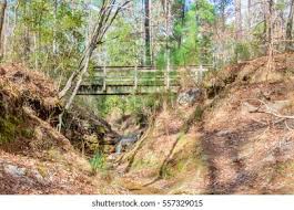 Angelina is a diminutive form of the name angela, a. Boykin Springs Angelina National Forest Stock Photo Edit Now 557329015