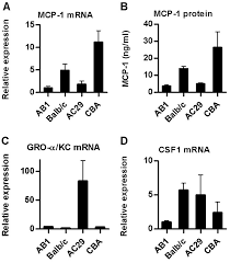 Mesothelioma is a rare type of cancer that occurs in the thin layer of cells lining the body's internal organs, known as the mesothelium. Regulated Chemokine Gene Expression In Mouse Mesothelioma And Mesothelial Cells Tnf A Upregulates Both Cc And Cxc Chemokine Genes