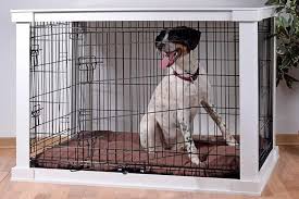 (vierbeiner vertragen sich nicht) hundeverhalten & erziehung: Hundeboxen Fur Zuhause Unsere Top 5 Boxen In 2021