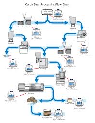 cocoa bean production process