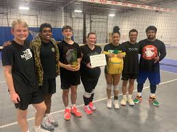 Rogue Pineapple Volleyball