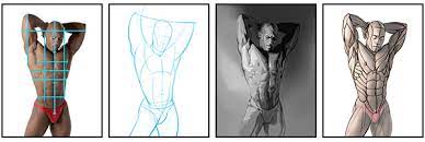 Learn how to draw the torso of the human body using this worksheet and tutorial. How To Draw And Shade The Human Torso Proko