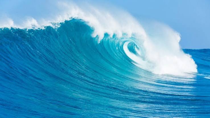 Quais são os indicadores da salinidade na água do mar? - Blog do Portal Educação