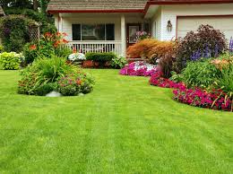 We realize that some customers prefer to use only organic lawn maintenance products. Organic Lawn Care Wayne Lawn Doctor Inc