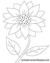 Gambar terkait dengan gambar sketsa bunga matahari. Sketsa Gambar Mewarnai Bunga Matahari Gambar Mewarnai Bunga