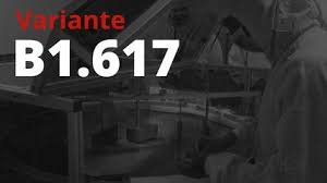 A variante possui três versões, com pequenas diferenças: Variante Indiana Do Coronavirus Transmissao Mutacoes E O Que Se Sabe Sobre A B 1 617 Coronavirus G1