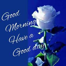 Uplifting good morning images time to start the day! Good Morning Images With Rose Flowers Good Morning Rose Photo Good Morning
