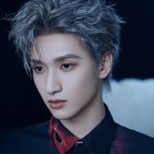 严浩翔，男，青少年，棕色短发，正面微笑，黑色外套，明亮自然光，舞台背景