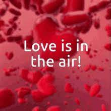 Browse and share the top love is in the air gifs from 2021 on gfycat. Love Is In The Air Gif Loveisintheair Discover Share Gifs