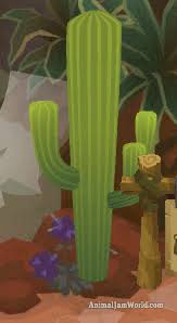 A cactus is not an animal it is a plant. Coral Canyons Journey Book Cheats Animal Jam Animal Jam World