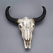 This british wildlife sculpture shows a life size red squirrel; Resin Longhorn Cow Skull Head Wall Hanging Decor 3d Animal Wildlife Sculpture Figurines Crafts Horns For Home Decor Walmart Canada